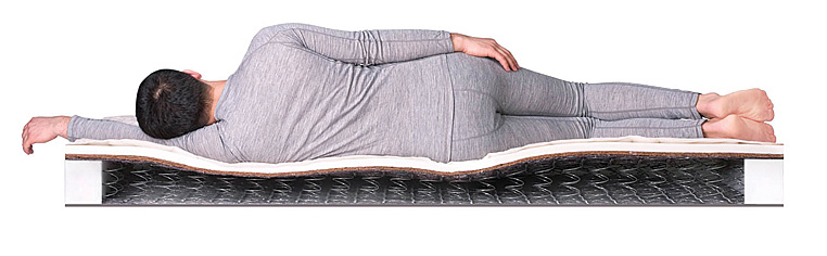 Матрас Single Foam Hard BS-120 в магазине «На диване» в Петрозаводске  — Выгодная цена